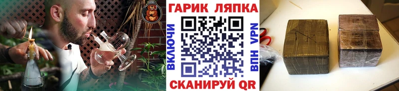 Где купить Волхов Псилоцибиновые грибы  ГАШ  МАРИХУАНА 
