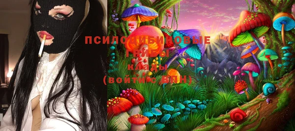 Альфа ПВП Армянск