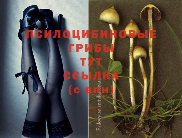трава Баксан