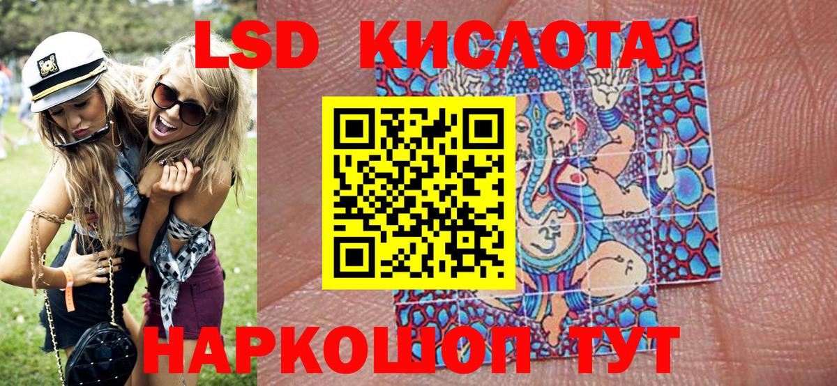 Альфа ПВП Волхов