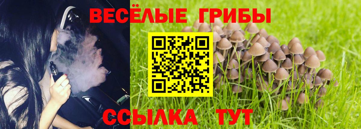 наркота  Вход с VPN  Волхов  Псилоцибиновые грибы ЛСД 